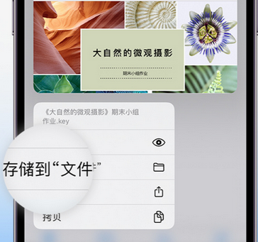 舒兰apple维修中心分享iPhone文件应用中存储和找到下载文件