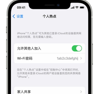 舒兰apple服务站点分享iPhone上个人热点丢失了怎么办 