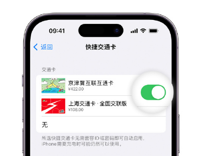 舒兰apple维修点分享iPhone上更换Apple Pay快捷交通卡手绘卡面 