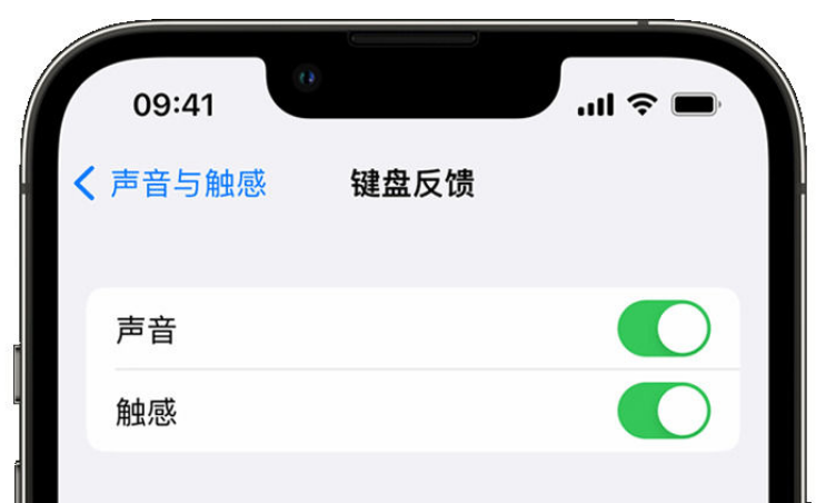 舒兰苹果手机维修分享iPhone 14触感键盘使用方法 