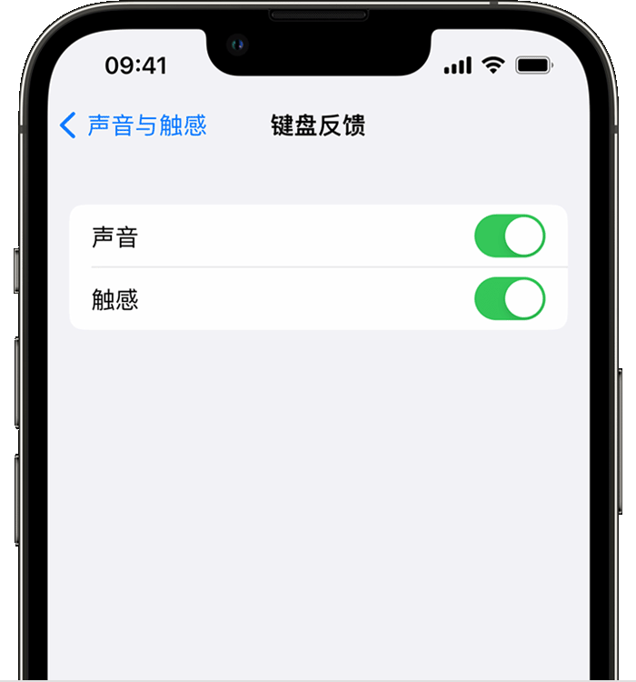 舒兰苹果14维修店分享如何在 iPhone 14 机型中使用触感键盘 