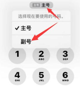 舒兰苹果14维修店分享iPhone 14 Pro Max使用副卡打电话的方法 