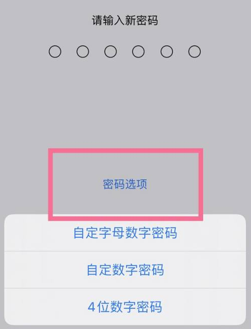 舒兰苹果14维修分享iPhone 14plus设置密码的方法 