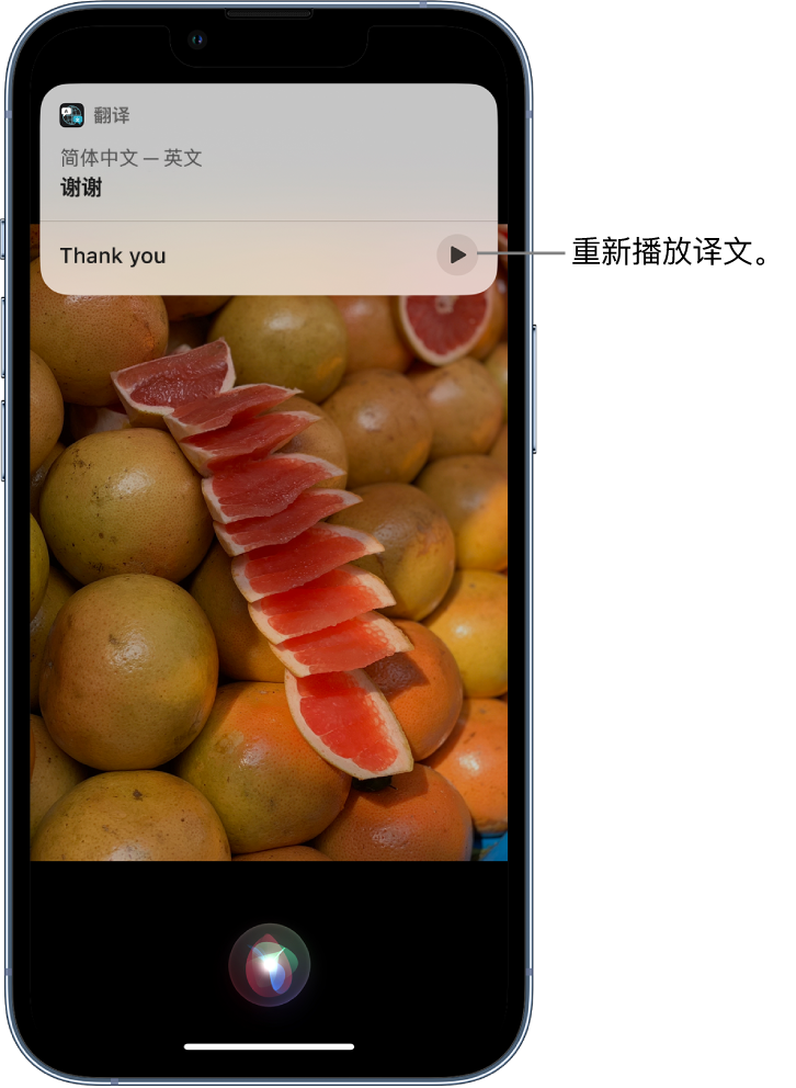 舒兰苹果14维修分享 iPhone 14 机型中使用 Siri：了解 Siri 能帮你做什么 