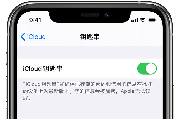 舒兰苹果手机维修分享在 iPhone 上开启 iCloud 钥匙串之后会储存哪些信息 