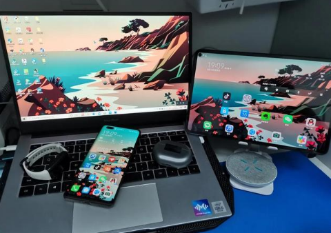 舒兰苹果手机维修分享为什么iPad屏幕更大价格却比iPhone低 