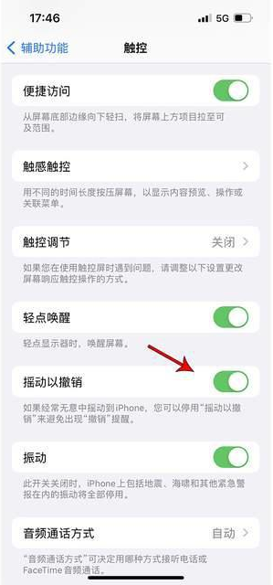 舒兰苹果手机维修分享iPhone手机如何设置摇一摇删除文字 